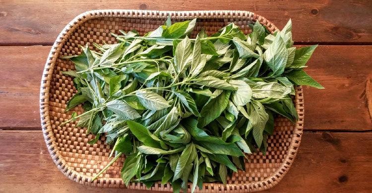 Jute Leaf (Pat Shak / পাট শাক) 500g - Alahii organic — 2
