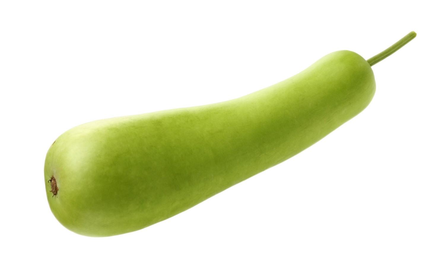 Bottle Gourd (Lau / লাউ) 1 pc - Alahii organic
