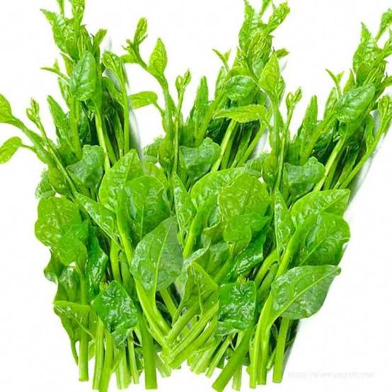 Alahii Organic Indian Spinach (Pui Shak / পুঁই শাক) — 1kg