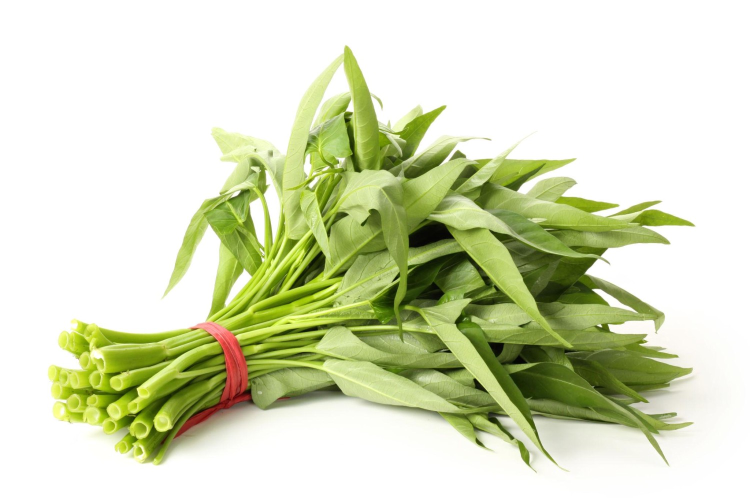 Water Spinach (Kolmi Shak / কলমি শাক) 500g - Alahii organic — 2