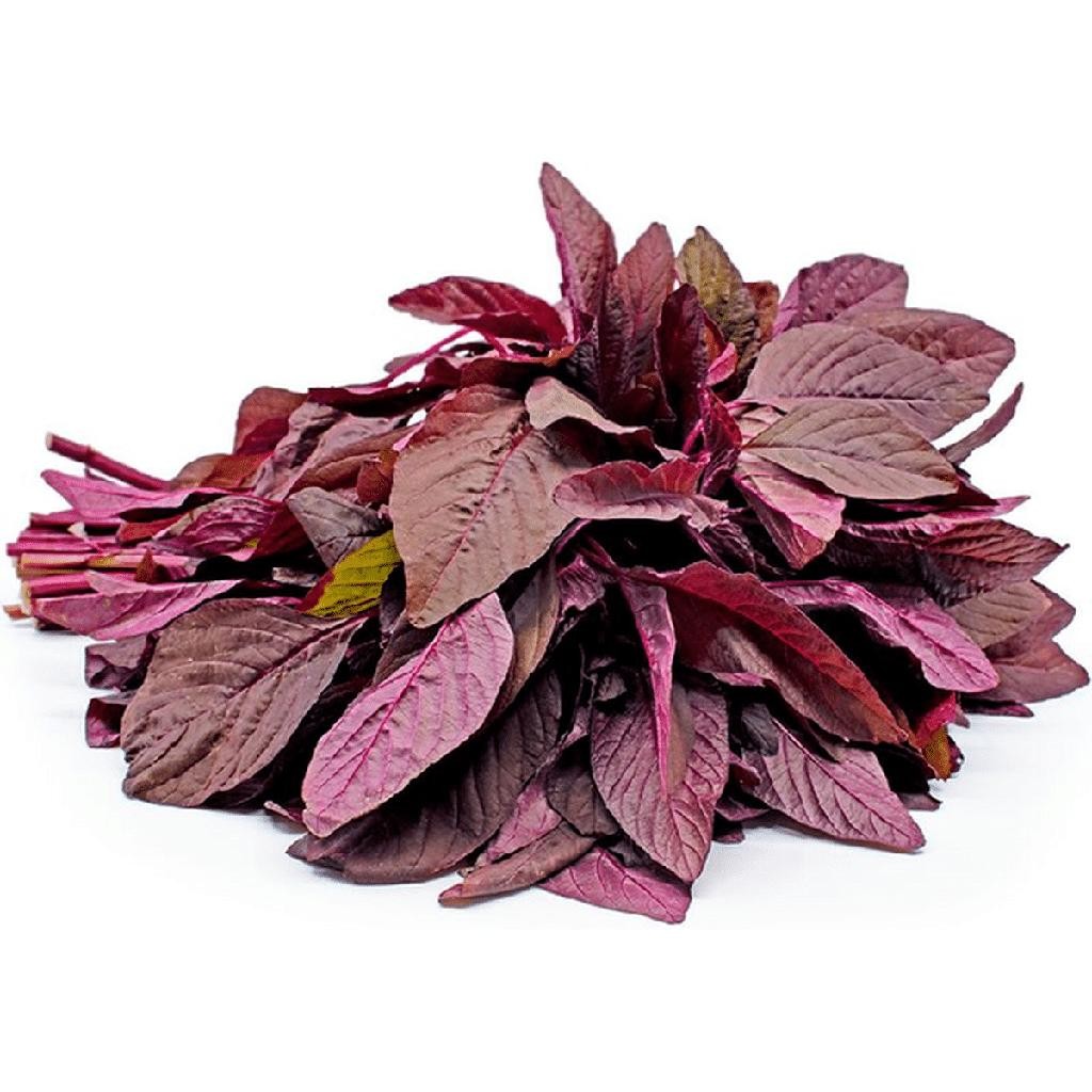 Red Amaranth (Lal Shak / লাল শাক) 500g — Alahii organic