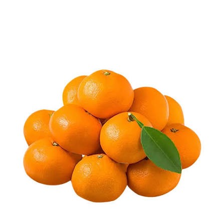 Orange 1kg (Imported)