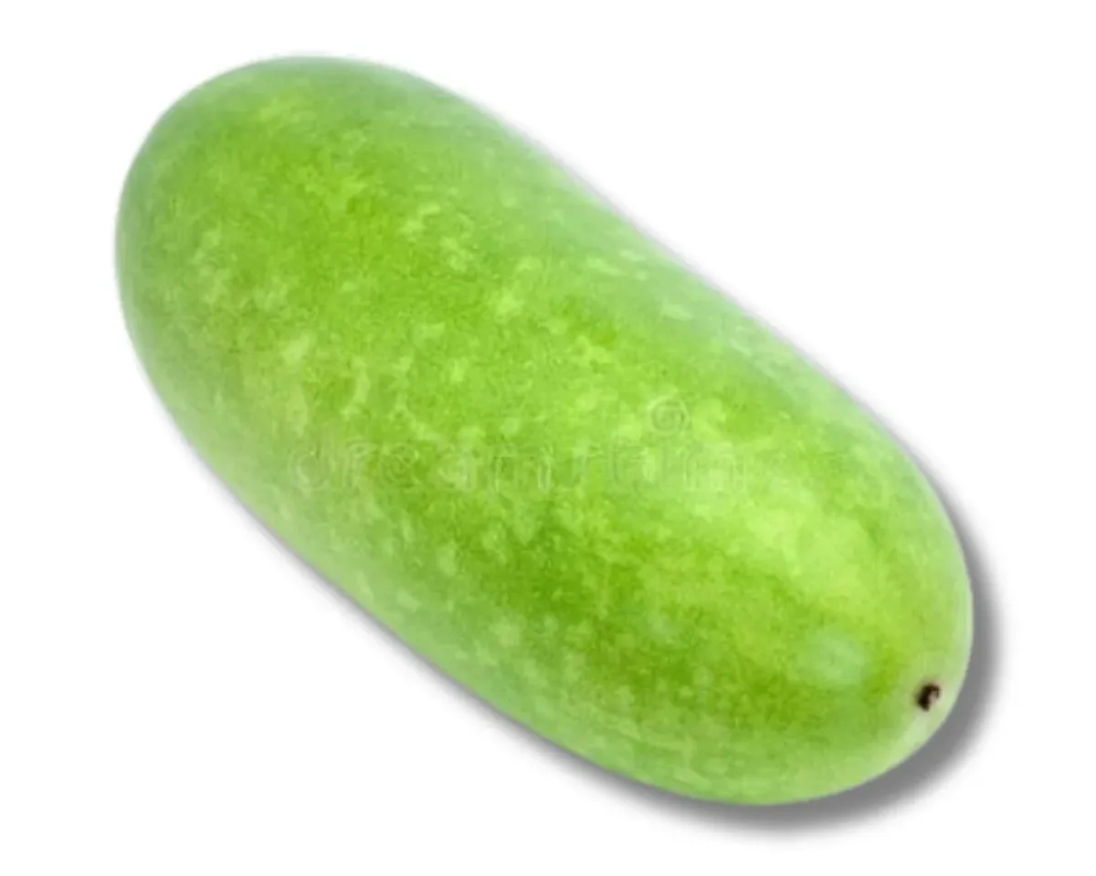 Ash Gourd / Wax Gourd (Chal Kumro / চালকুমড়া) — 1pc