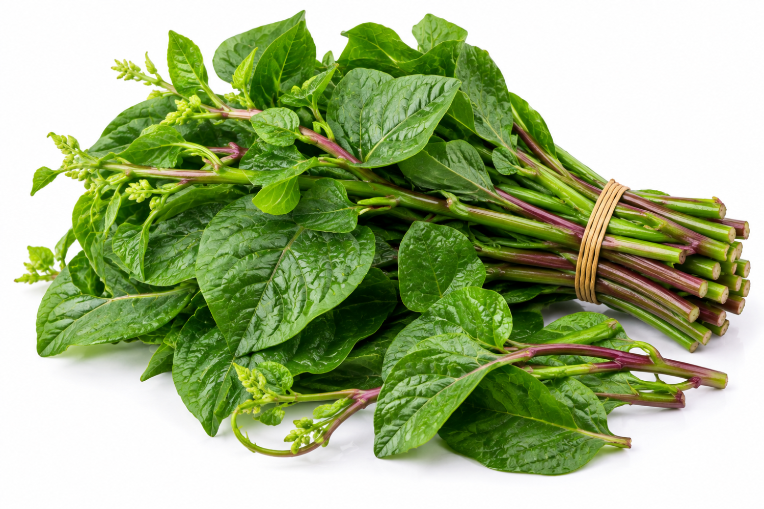 Alahii Organic Indian Spinach (Pui Shak / পুঁই শাক) — 1kg