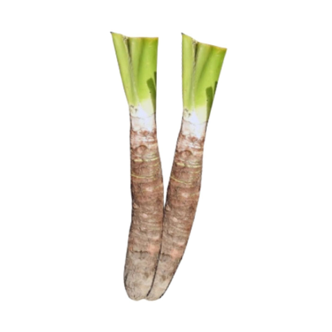 Taro Roots & Leaves (Kochu / কচু) 1kg - Alahii organic