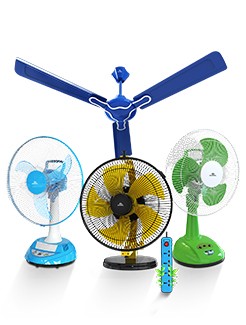Fan